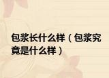 包漿長(zhǎng)什么樣（包漿究竟是什么樣）