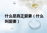 什么是真正愛妻（什么叫愛妻）