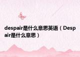 despair是什么意思英語（Despair是什么意思）