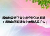 微信被設(shè)置了青少年守護(hù)怎么解除（微信如何解除青少年模式監(jiān)護(hù)人）