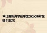 今日更新海爾在哪里(武漢海爾在哪個地方)