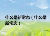 什么是新常態(tài)（什么是新常態(tài)）