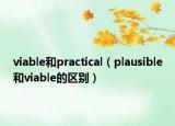 viable和practical（plausible和viable的區(qū)別）