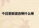 今日更新諧音梗什么梗