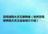 羽毛球四大天王都有誰(shuí)（世界羽毛球界四大天王是誰(shuí)簡(jiǎn)介介紹）
