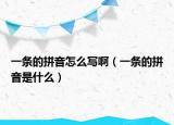 一條的拼音怎么寫?。ㄒ粭l的拼音是什么）