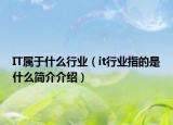 IT屬于什么行業(yè)（it行業(yè)指的是什么簡介介紹）
