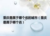 重慶是屬于哪個省的城市（重慶是屬于哪個省）
