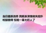 當(dāng)日最新消息 狗熊表演情緒失控?fù)湟яZ獸師 驚險(xiǎn)一幕太嚇人了
