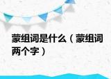 蒙組詞是什么（蒙組詞兩個字）