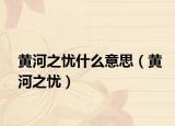黃河之憂什么意思（黃河之憂）