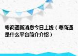 粵商通新消息今日上線（粵商通是什么平臺簡介介紹）