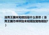 洛克王國(guó)未知組別是什么意思（洛克王國(guó)怎樣辨別未知組別寵物組別?）