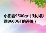 小影霸9500gt（對小影霸8600GT的評價(jià)）