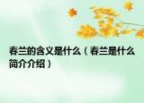 春蘭的含義是什么（春蘭是什么簡(jiǎn)介介紹）