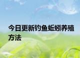 今日更新釣魚蚯蚓養(yǎng)殖方法
