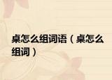 桌怎么組詞語（桌怎么組詞）