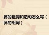 膊的組詞和造句怎么寫（膊的組詞）