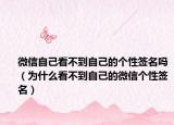 微信自己看不到自己的個(gè)性簽名嗎（為什么看不到自己的微信個(gè)性簽名）