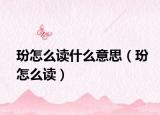 玢怎么讀什么意思（玢怎么讀）