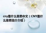 cny是什么意思中文（CNY是什么意思簡(jiǎn)介介紹）