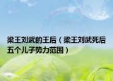 梁王劉武的王后（梁王劉武死后五個兒子勢力范圍）