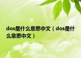 dos是什么意思中文（dos是什么意思中文）