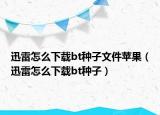 迅雷怎么下載bt種子文件蘋果（迅雷怎么下載bt種子）
