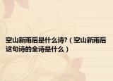 空山新雨后是什么詩?（空山新雨后這句詩的全詩是什么）