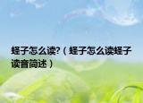 蟶子怎么讀?（蟶子怎么讀蟶子讀音簡述）