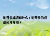 地開頭成語有什么（地開頭的成語簡介介紹）