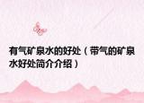 有氣礦泉水的好處（帶氣的礦泉水好處簡(jiǎn)介介紹）