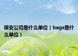 保安公司是什么單位（bags是什么單位）