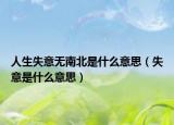 人生失意無南北是什么意思（失意是什么意思）