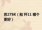 蘇27SK（和 殲11 哪個更好）