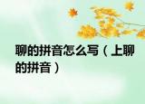 聊的拼音怎么寫（上聊的拼音）