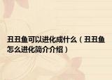 丑丑魚(yú)可以進(jìn)化成什么（丑丑魚(yú)怎么進(jìn)化簡(jiǎn)介介紹）