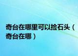 奇臺(tái)在哪里可以撿石頭（奇臺(tái)在哪）