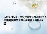 馬斯克回應(yīng)孩子多火星需要人類詳細(xì)內(nèi)容 馬斯克回應(yīng)孩子多火星需要人類具體介紹