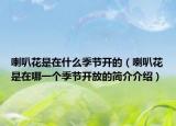 喇叭花是在什么季節(jié)開的（喇叭花是在哪一個季節(jié)開放的簡介介紹）