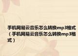 手機(jī)網(wǎng)易云音樂怎么轉(zhuǎn)換mp3格式（手機(jī)網(wǎng)易云音樂怎么轉(zhuǎn)換mp3格式）