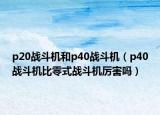 p20戰(zhàn)斗機和p40戰(zhàn)斗機（p40戰(zhàn)斗機比零式戰(zhàn)斗機厲害嗎）
