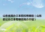 山東省民辦三本院校有哪些（山東的公辦三本有哪些簡(jiǎn)介介紹）