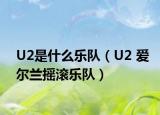 U2是什么樂隊（U2 愛爾蘭搖滾樂隊）