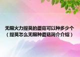 無限火力提莫的蘑菇可以種多少個（提莫怎么無限種蘑菇簡介介紹）