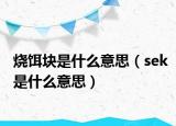 燒餌塊是什么意思（sek是什么意思）
