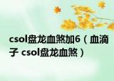 csol盤龍血煞加6（血滴子 csol盤龍血煞）