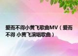 愛而不得小黃飛歌曲MV（愛而不得 小黃飛演唱歌曲）