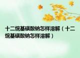 十二烷基磺酸鈉怎樣溶解（十二烷基磺酸鈉怎樣溶解）