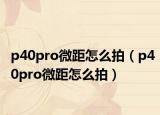 p40pro微距怎么拍（p40pro微距怎么拍）